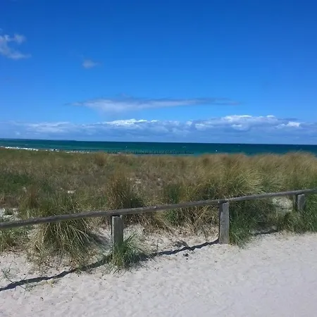 Holiday Home In Zingst With Swimming Pool