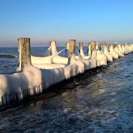 Nyaraló Holiday Home In Zingst With Swimming Pool